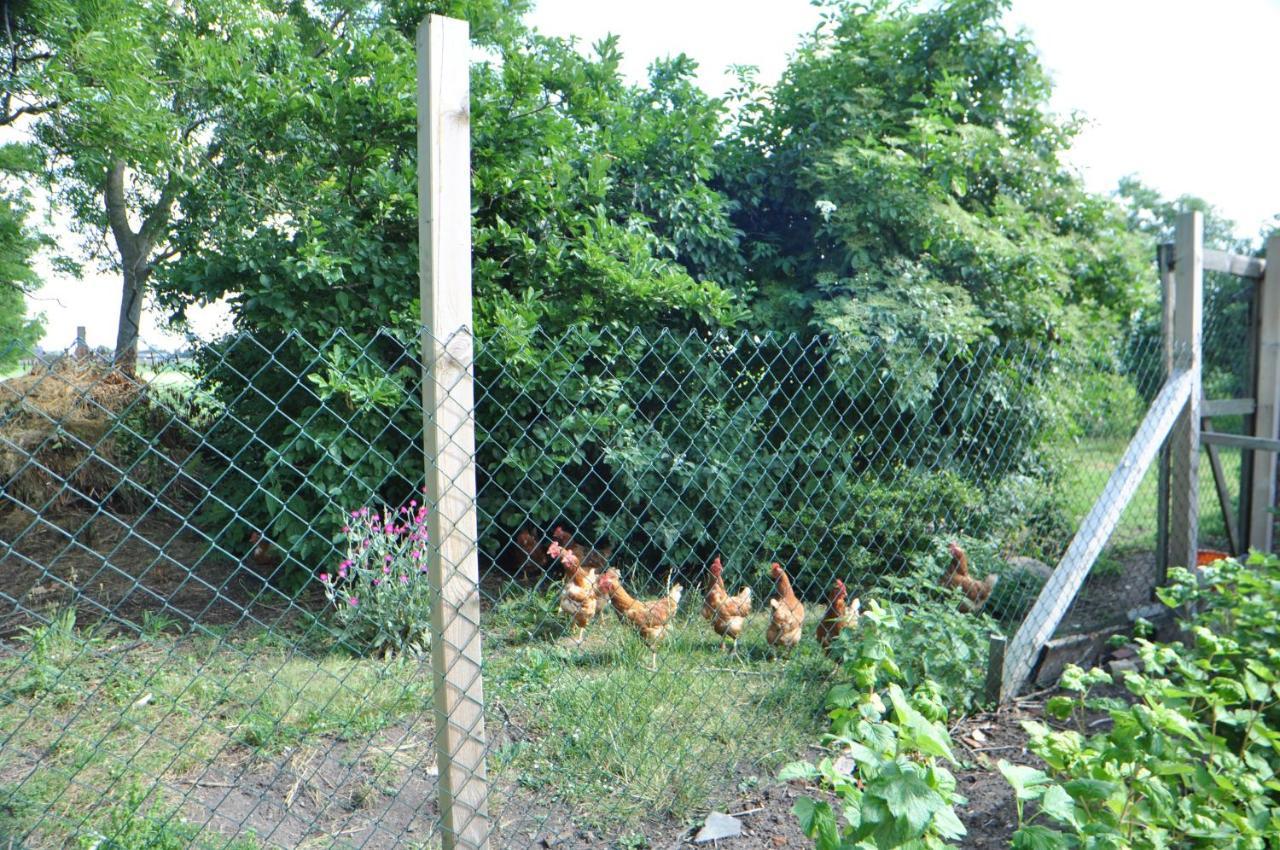 Ferienwohnung Landliebe 65347 Moormerland Eksteriør bilde