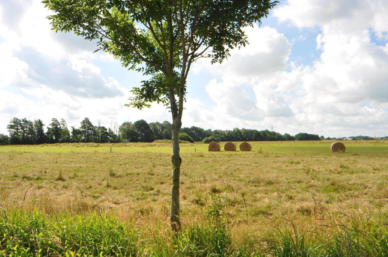 Ferienwohnung Landliebe 65347 Moormerland Eksteriør bilde